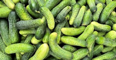 Огурцы прибавили в цене: почему украинцы вынуждены переплачивать за популярный овощ