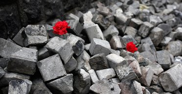 Главный урок. Чему учит война за независимость от России и от бюрократии