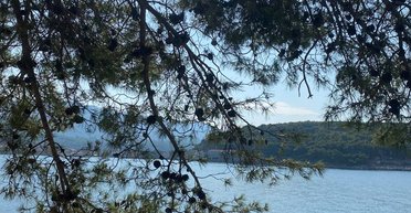 Не гірше за Бора-Бора та Капрі: чому варто відвідати острів Хвар у Хорватії (фото)