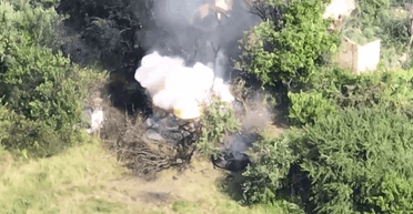 Маскування не спрацювало: бійці Легіону "Свобода Росії" знищили САУ "Гвоздика" (відео)