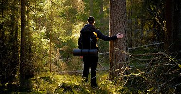 "Пішов збирати гриби, а знайшов щось жахливе": чоловік показав дивну знахідку в лісі (фото)