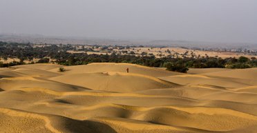 Чудове перетворення: знайдено те, що перетворює пустельний пісок на родючий ґрунт (відео)