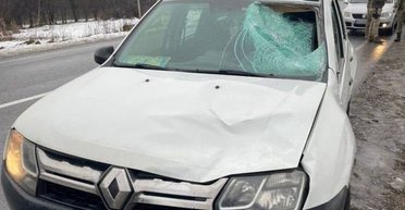 На Закарпатье на авто пограничников во время погони наскочил "переправщик" уклонистов