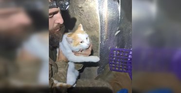 Провел "на нуле" несколько месяцев: кот эвакуировался с передовой на украинском НРК (видео)