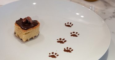 На Мангеттені відкриється ресторан високої кухні зі стравами зі смаком котячого корму