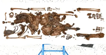 Голову так и не нашли: ученые исследовали останки жертвы жестокого ритуала