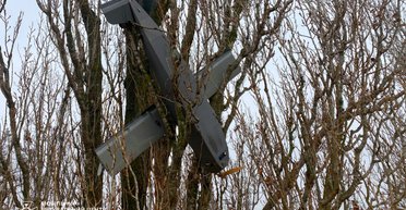 На дереве застрял российский дрон-приманка на Киевщине: что известно (фото)