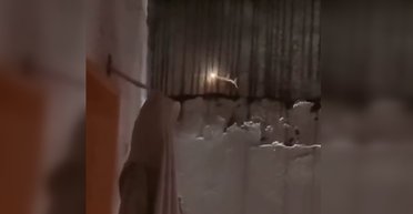 Живой "покемон" со светящимся хвостом: в сети гадают, что за странное существо попало на видео (фото)