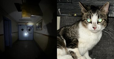 Глаза в темноте: поход мужчины в заброшенную больницу закончился спасательной операцией