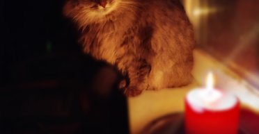 Отключения света в Украине: нардеп рассказал, как долго будут действовать графики (видео)