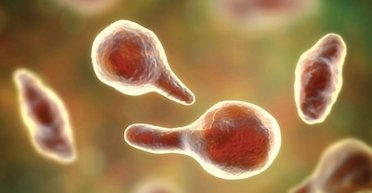 На МКС щось дивне сталося з вірусами: вони стали більш небезпечними (фото)