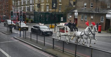 "Доходит до абсурда": в одной стране выросло число "нетипичных" ДТП (фото)