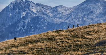 Відчув рух у спальнику: туриста "розбудило" моторошне відчуття (фото)