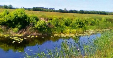 Сила мастеров. Как в селе Ковалевка Полтавской области возрождают старинные традиции