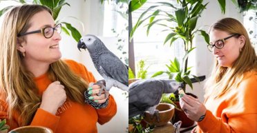 "Вони щасливі": британка витратила частину призу з лотереї на розкішний будинок для папуг (фото)