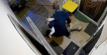 Мужчина с ребенком на руках забил собаку до смерти: какая реакция прокуратуры и людей (фото)