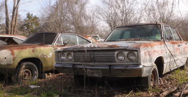 Раритеты посреди поля: обнаружена заброшенная коллекция культовых американских авто (видео)