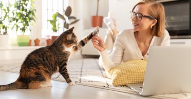 Секонд-хенд і домашні тварини: на яких речах для улюбленця можна заощадити і купити б/в