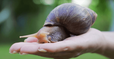 Древнейшее свидетельство: археологи обнаружили необычное блюдо возрастом 7700 лет
