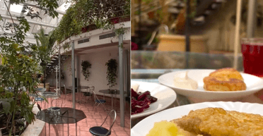 Жінка показала місце в Києві, де можна поїсти "за копійки" (фото)