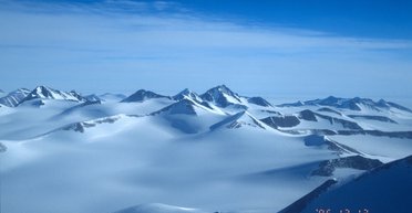 Лишь одно насекомое в мире способно выжить в суровой Антарктиде: оно размером с муравья (видео)