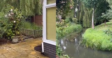 Женщина купила новый дом: ее поразила находка, на которую она наткнулась за двором (видео)