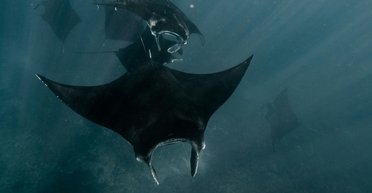 В Китае создают подводные дроны: в чем их особенность и какую опасность они несут