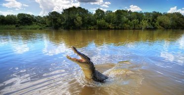 Врятувала себе і маленьку сестру: жінка голими руками відбилася від крокодила