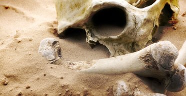 П'ять разів, коли людство мало не зникло з лиця Землі. І коли воно все ж вимре