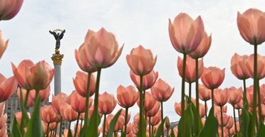 Комфорт і спокій у своєму домі. Як реалізувати мрію українців?