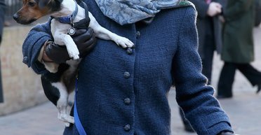 "Приносила столько радости": умерла любимая собака королевы Камиллы (фото)