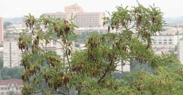 Процветающий Донбасс в сияющей Украине: как могло быть сейчас, если бы в 2014-м все сложилось иначе