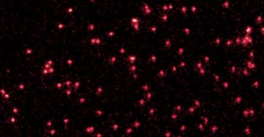 Уперше отримано зображення перетворення одиночних атомів на квантові хвилі (фото)