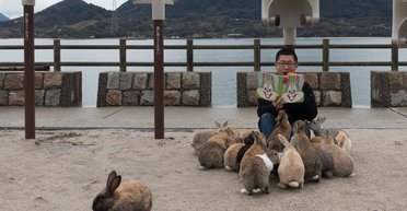 Японский "кроличий остров". Как темное прошлое превратилось в источник радости