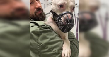 Мужчина бил и душил глухую собаку: как отреагировали правоохранители и зоозащитники (видео)