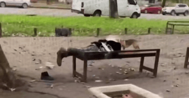 В Одессе женщину примотали скотчем к лавке: в чем ее обвинили (видео)