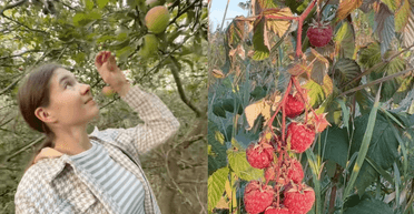 Українка купила глиняну хату з 45 сотками городу — планує ремонт і чекає врожаю (відео)