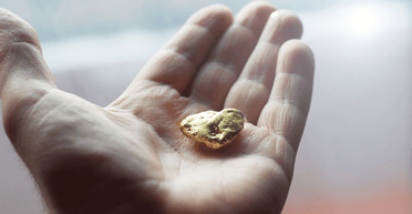 Чоловік відкопав на городі 150 тонн золота, але залишився ні з чим: що сталося (фото)