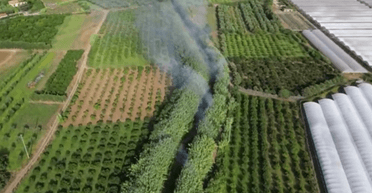 В Италии полицейский дрон помог поймать поджигателя (видео)
