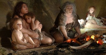 Голливудская улыбка по-неандертальски. Ученые выяснили, что предки человека также ухаживали за зубами