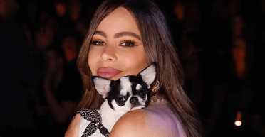 София Вергара продемонстрировала стройную фигуру в бикини (фото)