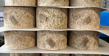 В Британии заявили что 22 тонны украденного элитного сыра, вероятно, продали в РФ