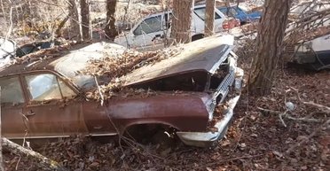 Раритети просто неба: у лісі знайшли велике кладовище рідкісних ретроавто (відео)