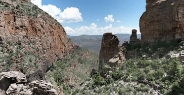 Рівень Чорнобильської катастрофи: популярний маршрут для туристів таїть у собі небезпеку