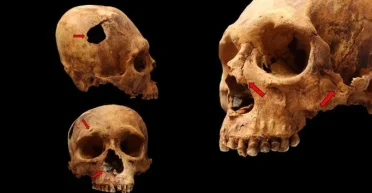 Ученые узнали, как именно исчезла перуанская цивилизация культура Чавин