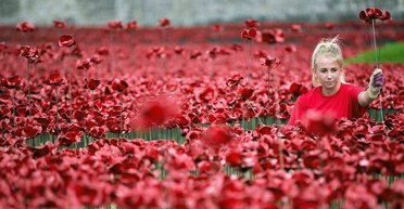 Художники о войне: лучшие инсталляции мира