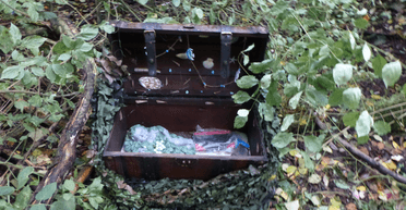 Знадобився код: пара знайшла і відкрила таємничу коробку в лісі (відео)