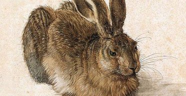 Зайчик Дюрера. Чи будуть в Україні священики займатися хрестинами, вінчаннями та спасінням душ