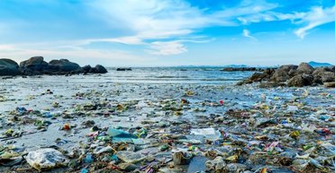 Від головної напасті Землю врятує "герой без мозку": знайдено спосіб боротьби з небезпечним типом відходів