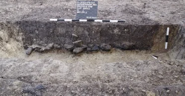 Пекарня бронзового века: археологи сделали неожиданное открытие благодаря доисторическим ямам